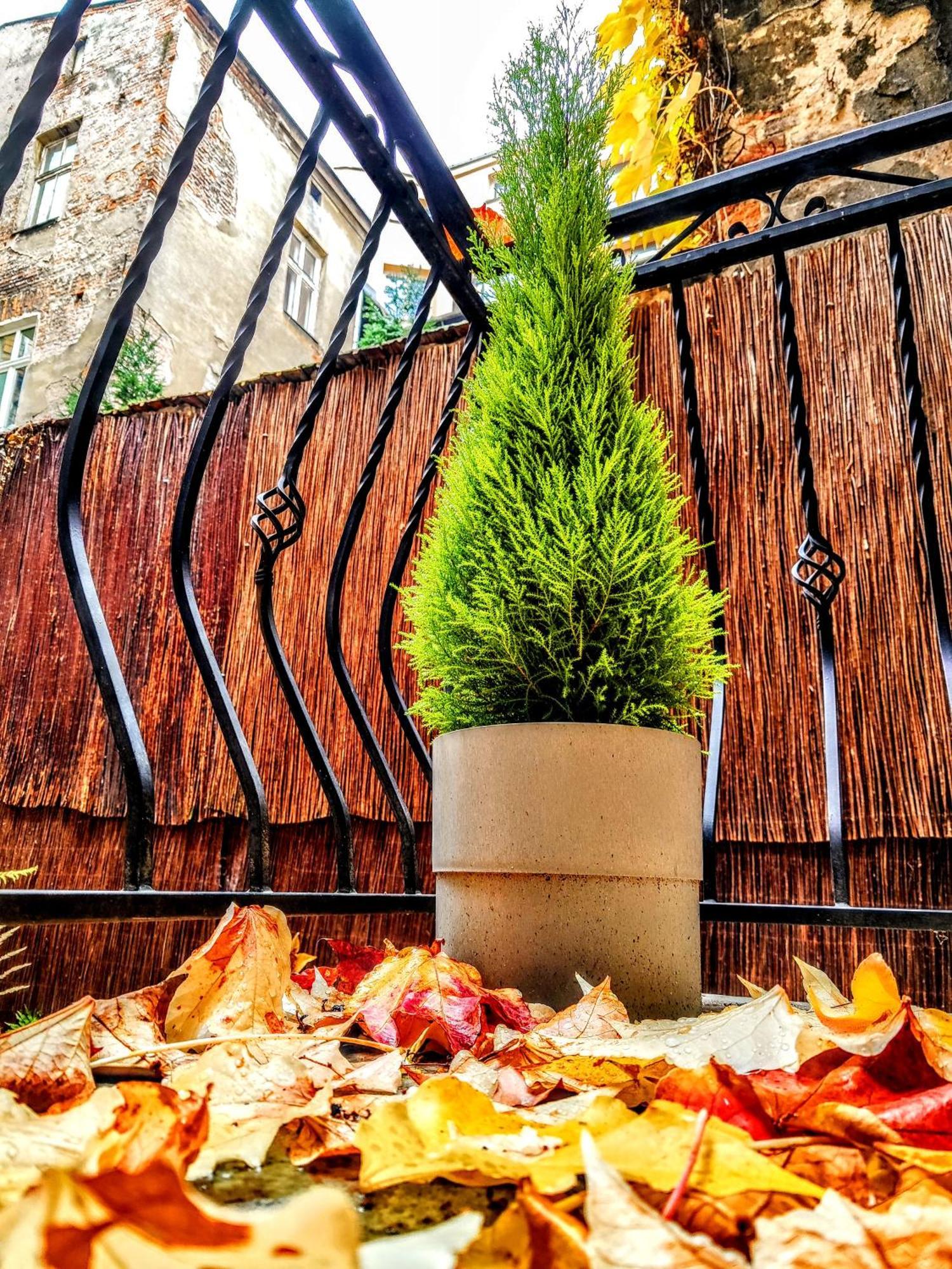 Z-1 Krakow Old Town O&P Apartfamily 외부 사진